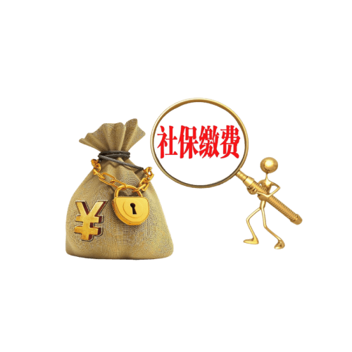 查个人工作单位+社保余额